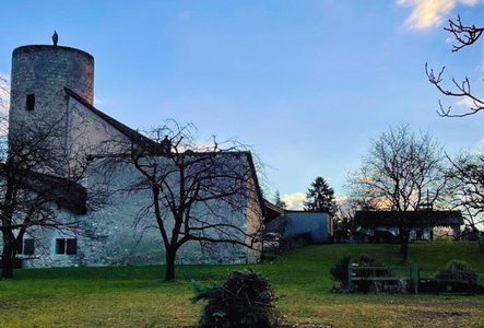vue de la tour de Saconnex-d'Arve