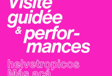 Affiche rose