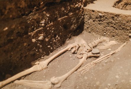 Squelette d'un roi burgonde au Site archéologique de la Cathédrale Saint-Pierre