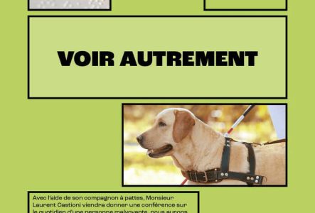 Première image d'un texte en braille avec des doigts qui le lisent et deuxième image d'un chien accompagnant une personnes malvoyante.