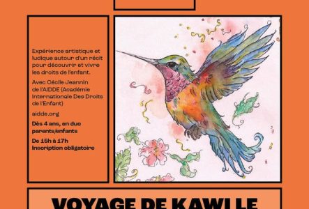 Dessin d'un colibri en plein vol.