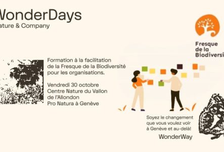 Une affiche avec deux photos en négatifs d'arbre te de papillon et un dessin de personnes qui jouent aux cartes sur une Fresque murale. Le logo de la Fresque de la Biodiversité.