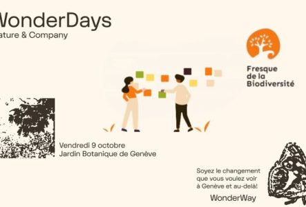 Une affiche au titre de Wonder Way qui montre un négatif de photo d'arbres et de papillon. Et qui montre un dessin de personnes qui jouent avec des cartes (Fresque murale) autour du sujet de la Biodiversité.