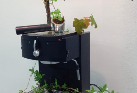 FMAC et MAH Une machine à café où la nature à repris ses droits