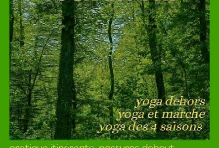 CC image de verdure, d'arbres